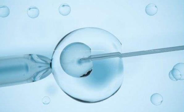 国内有卵子库吗北京捐卵试管婴儿费用是多少